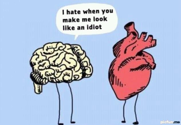 idiot-brain.jpg