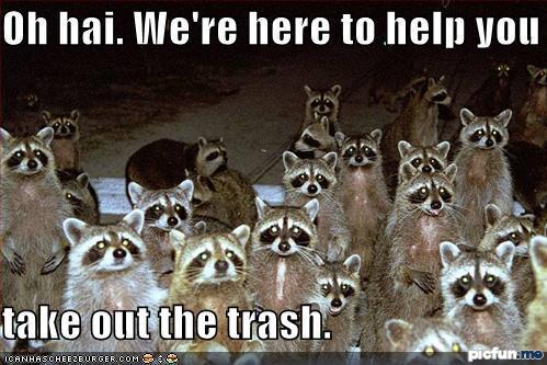 funny-pictures-raccoons-are-here-to-help-you.jpg