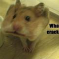 cracker.jpg