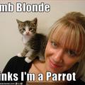 i-am-a-parrot.jpg