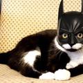 dark-knight-rises.jpg