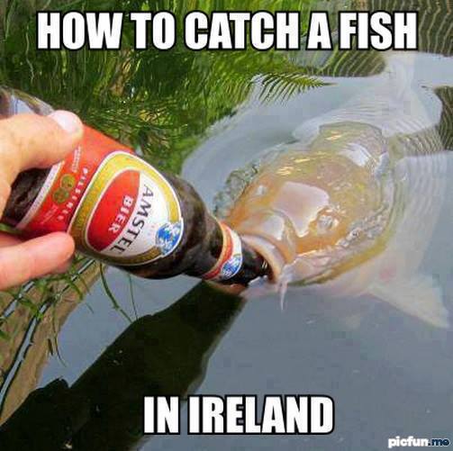 fish_in_ireland.jpg