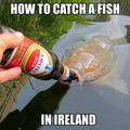 fish_in_ireland.jpg