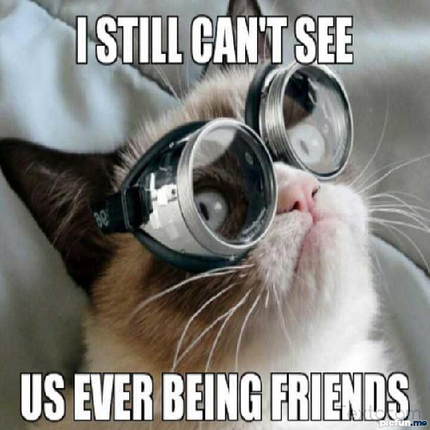 nerd-cat.jpg