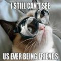 nerd-cat.jpg