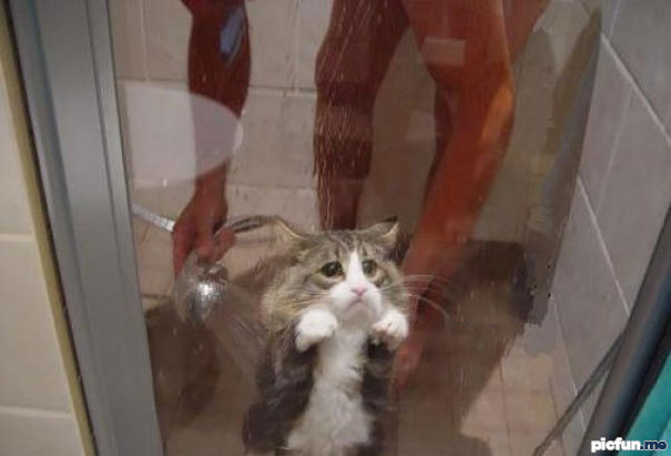 shower-time.jpg