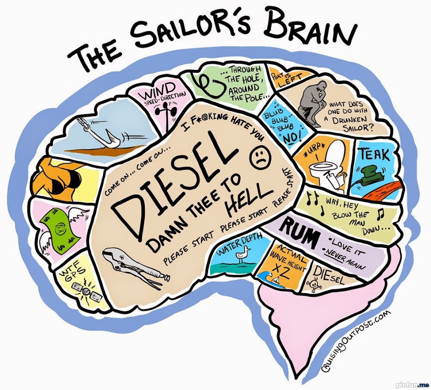 sailors-brain.jpg