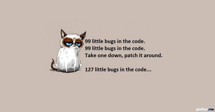 little-bugs-in-the-code.jpg
