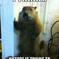 nature-response.jpg
