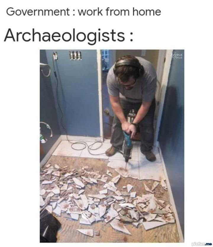archaeologist-working-from-home.jpg