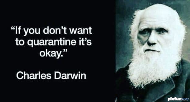 if-you-dont-want-to-quarantine.jpg